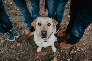 Sesión de fotos familiares con mascota en Sevilla y provincia